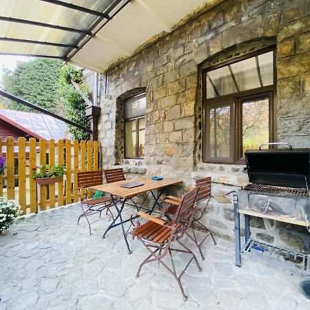 Apartment Carol Private Yard With Barbeque And Parking Sinaia Exterior foto