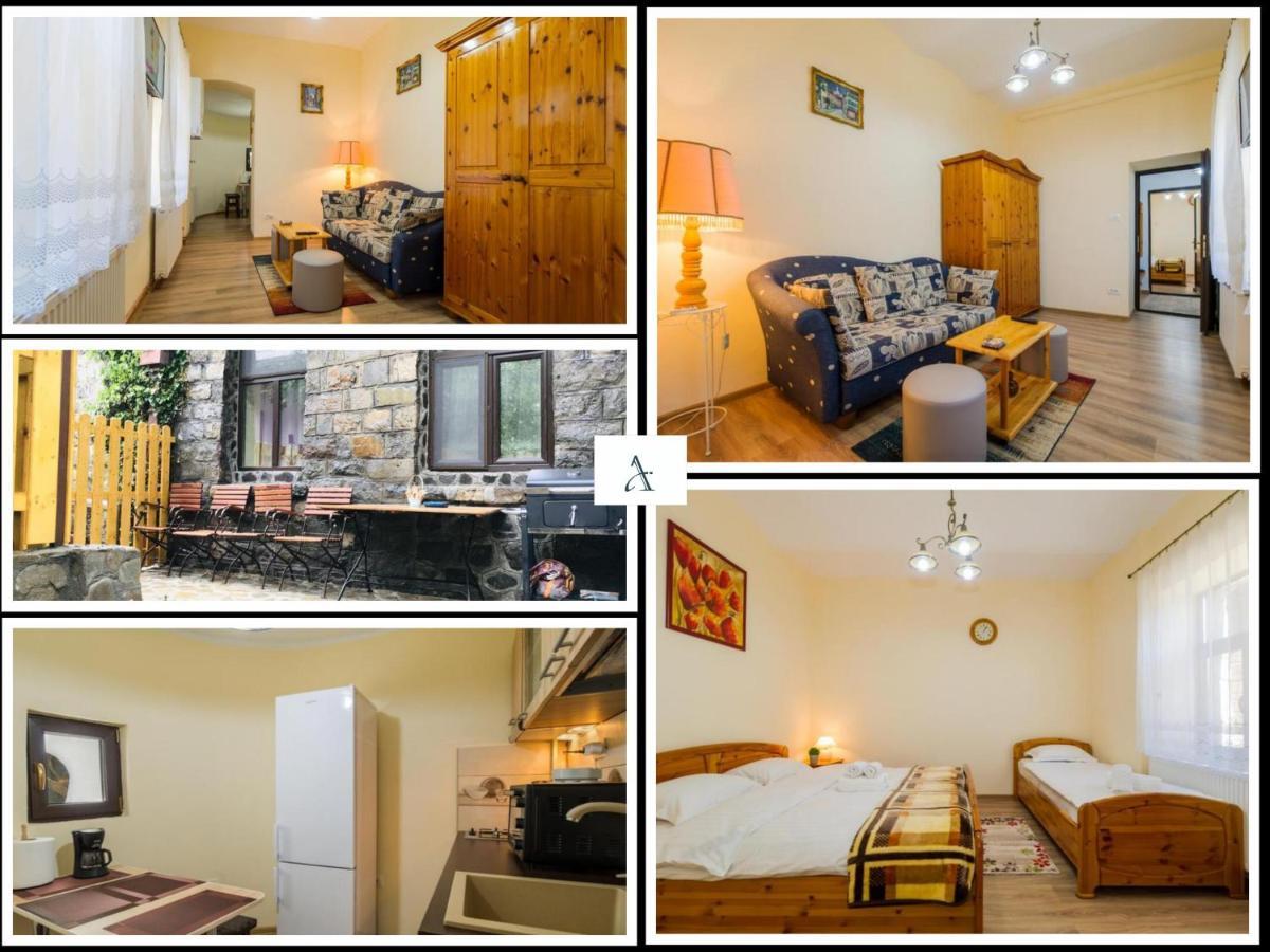 Apartment Carol Private Yard With Barbeque And Parking Sinaia Exterior foto