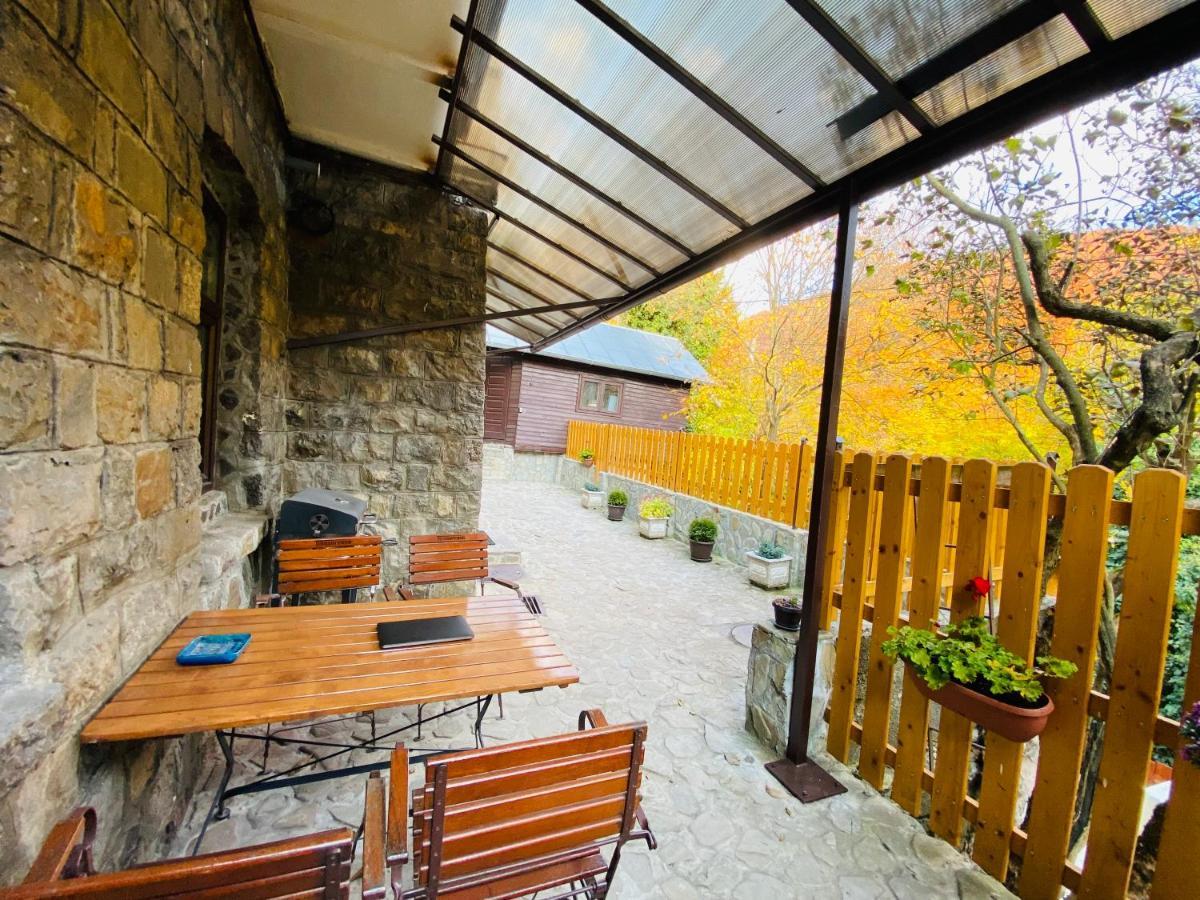 Apartment Carol Private Yard With Barbeque And Parking Sinaia Exterior foto